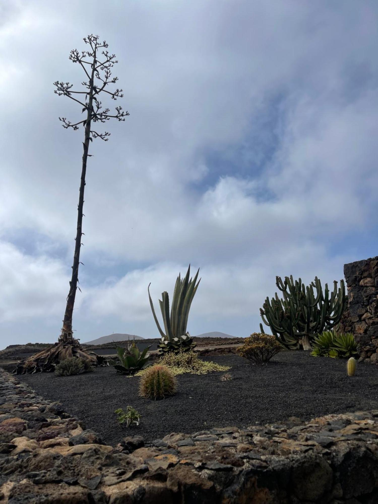 Villa Timanfaya Tinajo Eksteriør bilde