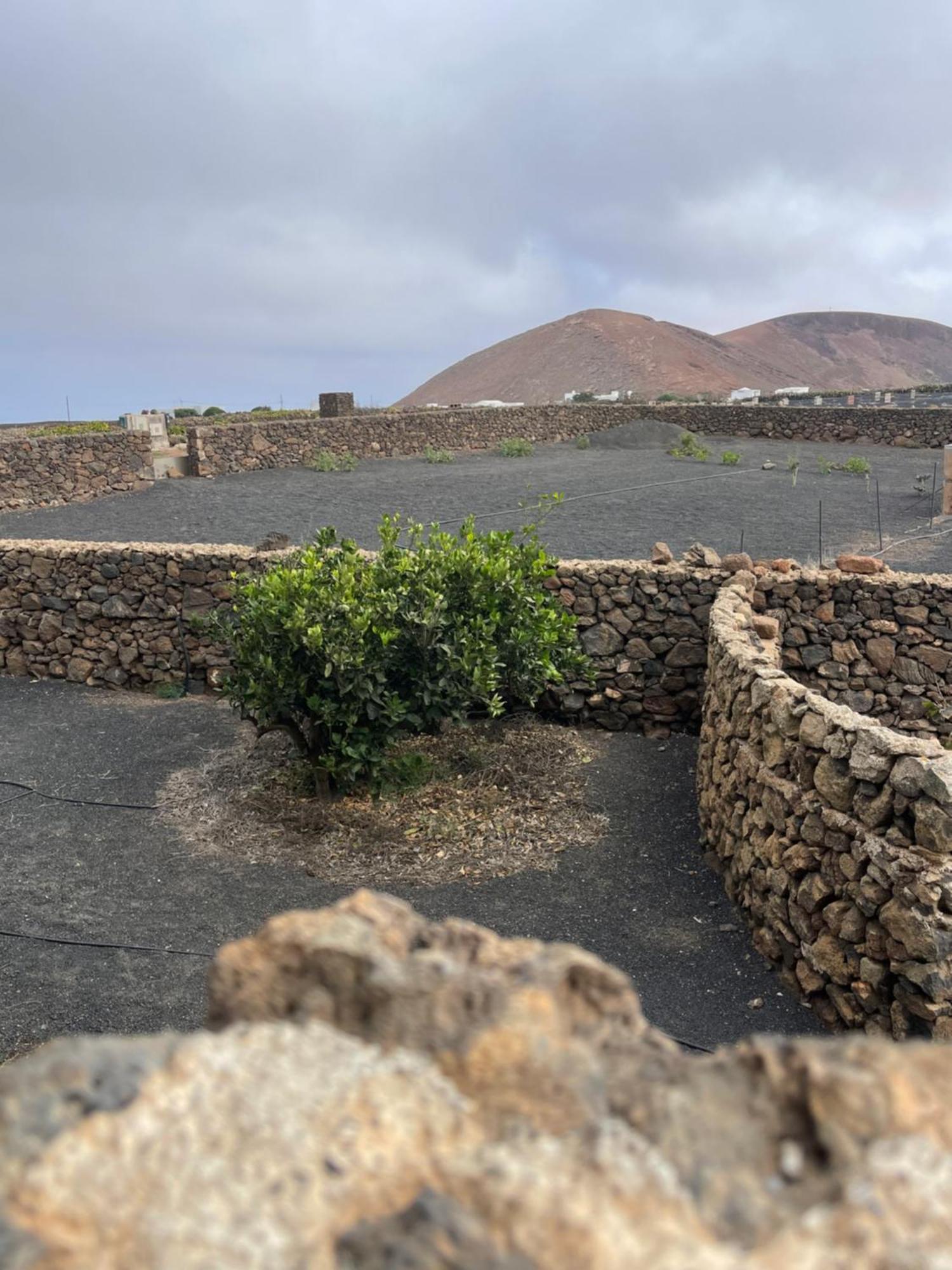 Villa Timanfaya Tinajo Eksteriør bilde