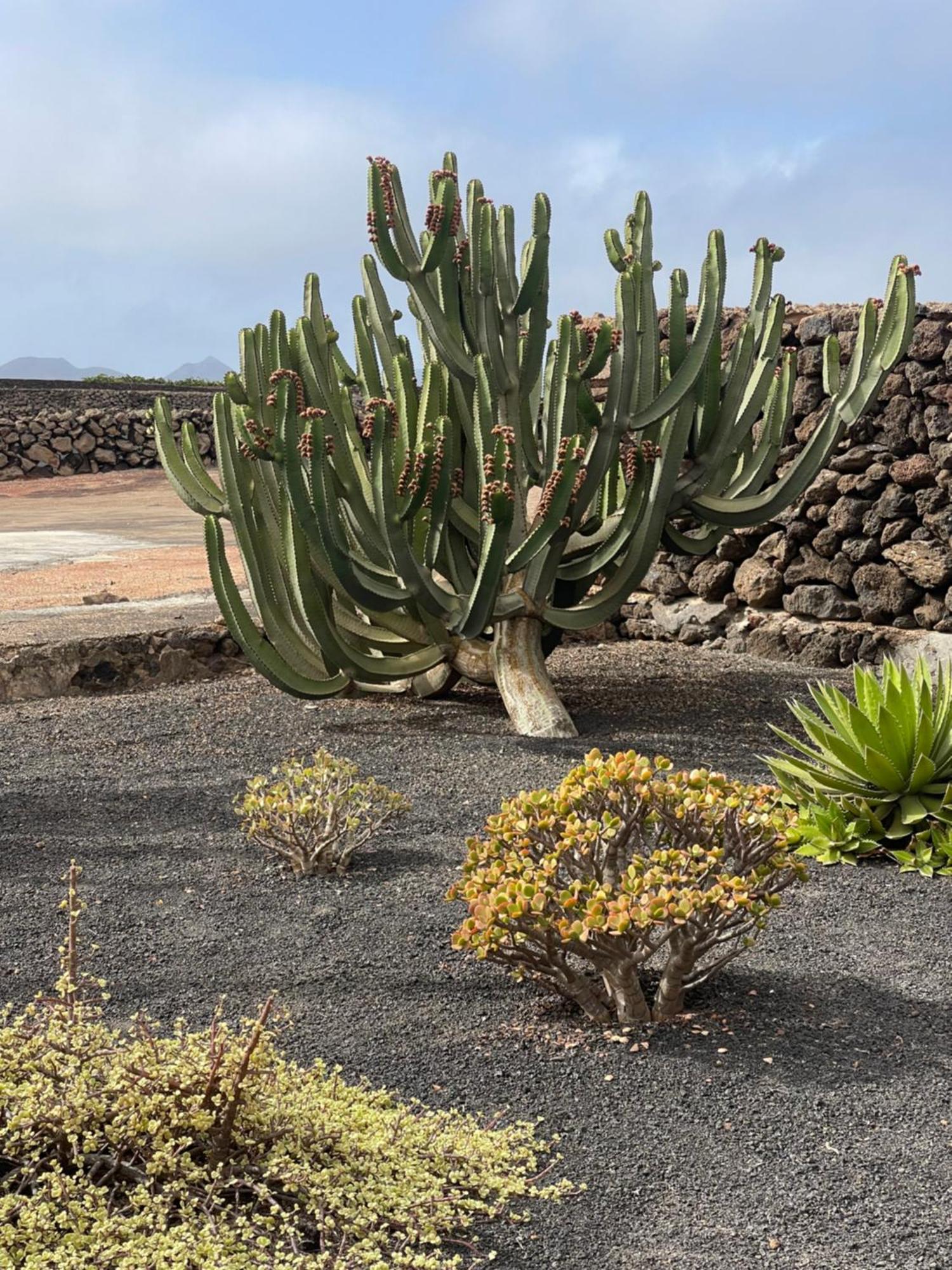 Villa Timanfaya Tinajo Eksteriør bilde
